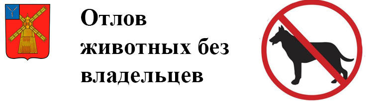 Отлов животных без владельцев Отлов животных без владельцев.