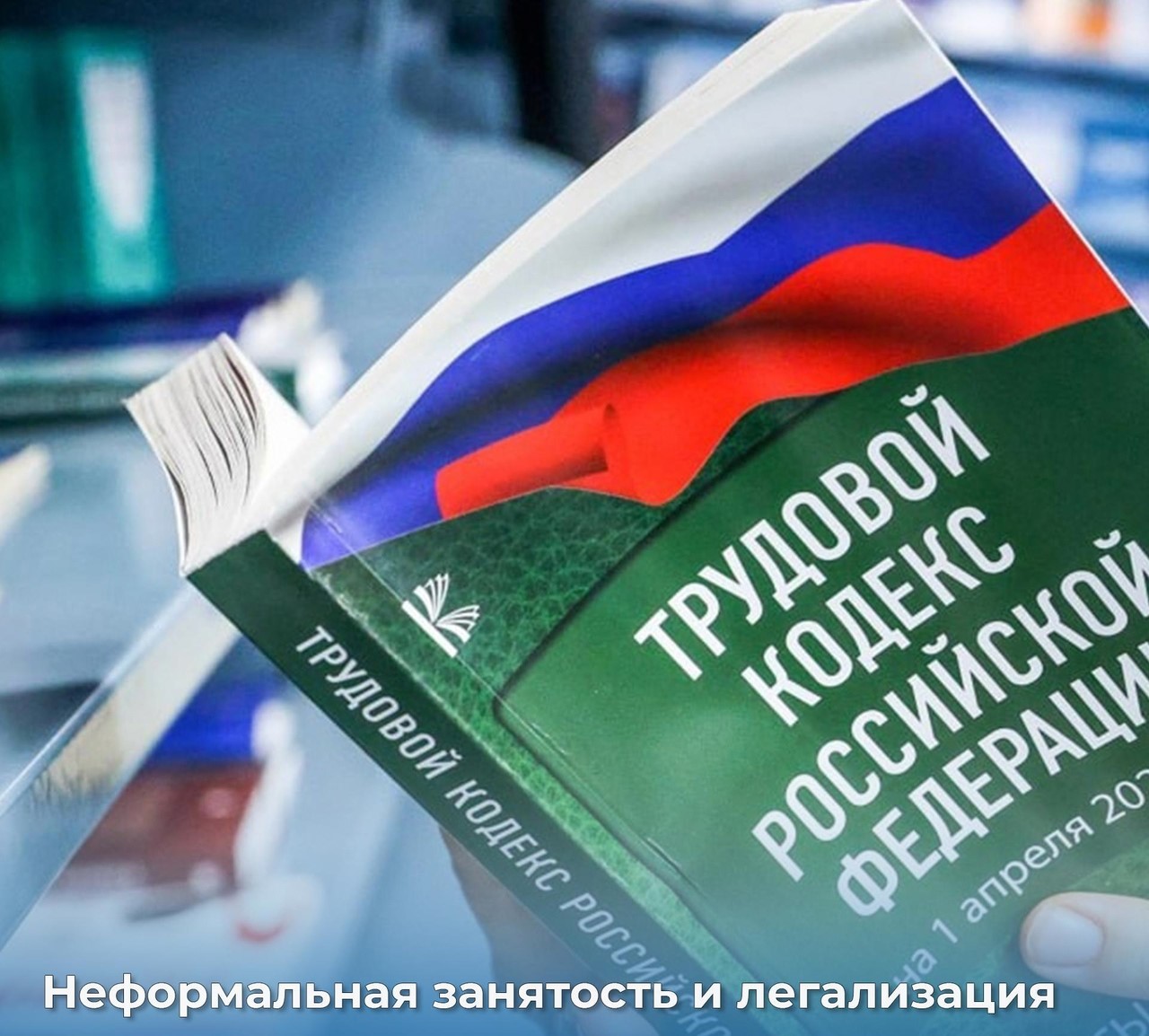 В Питерском муниципальном районе продолжается профилактическая работа по выявлению неформальной занятости.