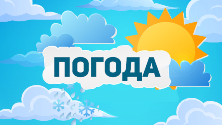 Оперативный прогноз. Оперативный прогноз.